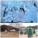 고요목장 | 가평 계곡 가볼만한곳 어비계곡 빙벽 양떼목장 카페 겨울 가평여행코스