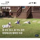 포동운동장 이미지