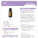 도도테라피 이미지