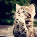 로또PC게임 이미지