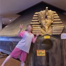 황금스파 이미지