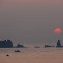 제주자연동물병원 이미지