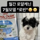 오마이퍼피 이미지