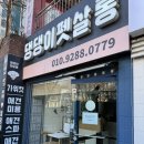 들려보개 펫살롱 | [댕댕이펫살롱] 산본 애견 미용 잘하는 곳