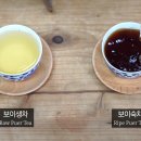 보이차&홍차 티 소믈리에 이미지