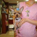 장위주유소 이미지