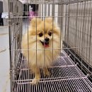 송정2길 이미지