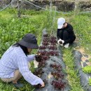 별솔농장 이미지
