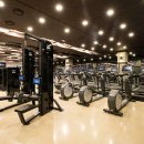 스마트짐 이미지