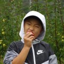 삼정농원 이미지