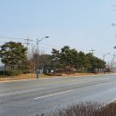 최씨 제실 옆 이미지