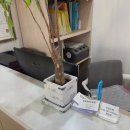 자연지압안마원 이미지