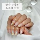 소프티네일