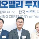 디에스디 이미지