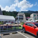 미앤마이독스 이미지