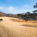 멍석 스크린골프장 | 명문구장 파미힐스cc 동코스 따뜻한 날씨의 겨울라운딩