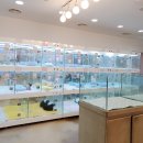 강아지분양고양이분양천안미유펫&포포즈 | 평택강아지분양 은 포포즈 추천해요!