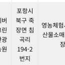 침곡농장 네이버블로그