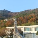 고흥-10호 이미지