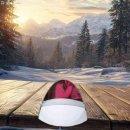 전용용기 이미지