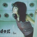 도그클럽 이미지