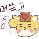 홍보석(동구점) 이미지