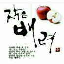 맑은사람들 이미지