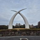 호랑이와 반달곰 | 벳푸 아프리칸사파리 렌트카로 다녀온 후기