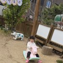 데굴데굴 이미지