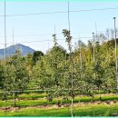 드림농원 이미지