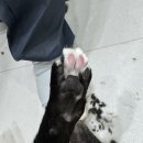 부산고양이미용&호텔 무냥무냥 대연점 이미지