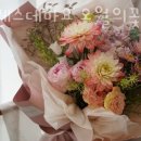 오월의발코니 네이버블로그
