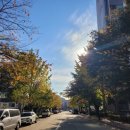 수정한양 이미지