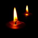 코코(coco) 이미지