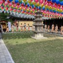 寺院生活体验(Temple Stay) - 兴国寺 2023.05.12~13 이미지