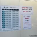[서울 시청] 스케이트 예약, 현장 발권 방문 후기 및 필수 준비물 | 남대문 시장, 야채호떡