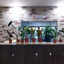 서창 홀인원 스크린점 이미지