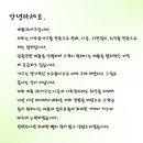 계룡OA 이미지