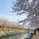 B&W PC cafe 이미지