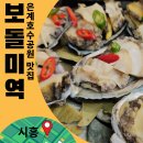 치코린도