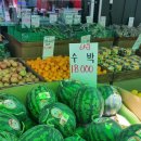 싱싱정육 백화점