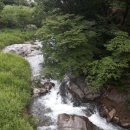 숲속맘 | 배꼽다리 불멍 - "프렌치 키스" 영화보다