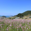 완도문화예술의전당 이미지