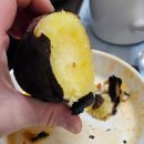 지극히 개인적인 산장 이미지