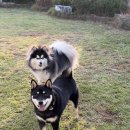 동산충전소 이미지