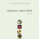 건강한세상을위하여