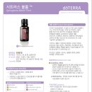 테라블룸 네이버블로그