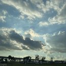 진보식품 | 면역력 높이는 영양제 추천! 퀘르세틴 영양제 먹은 솔직후기