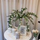 GS25 남춘천점 이미지