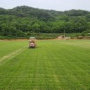 잔디 농장 이미지